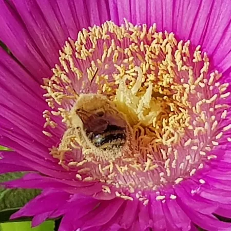 Vouni Lodge Country house Vouni