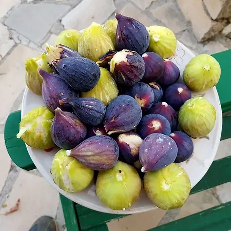 Vouni Lodge Landhaus Vouni