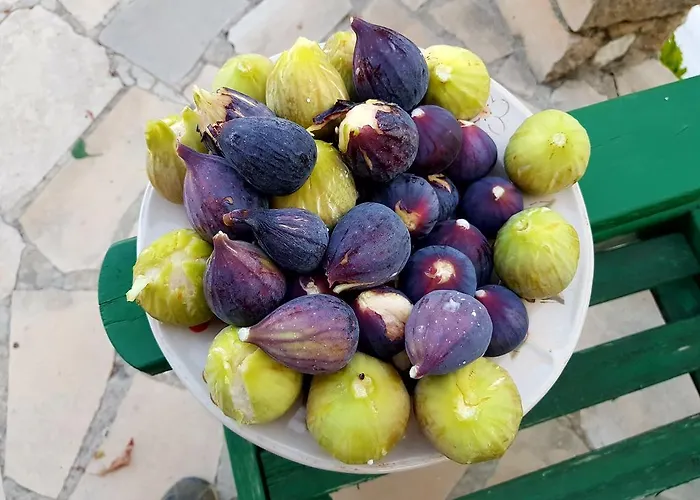 Vouni Lodge Kır Evi Vouni