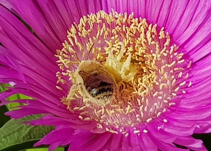 Vouni Lodge Kır Evi Vouni